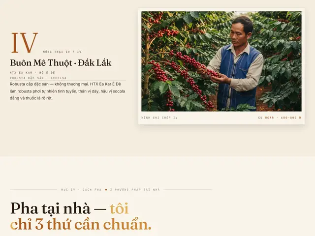 Cuối trang website demo Cây Cà
