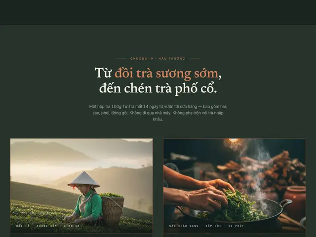 Giữa trang website demo Tử Trà