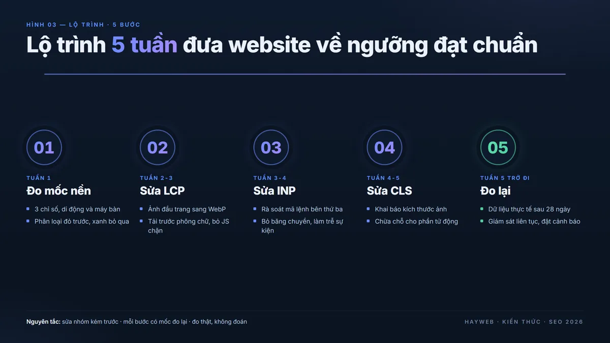 Lộ trình 5 tuần tối ưu Core Web Vitals — đo mốc nền, sửa LCP, sửa INP, sửa CLS, đo lại dữ liệu thực tế — dòng thời gian phong cách biên tập nền xanh đậm