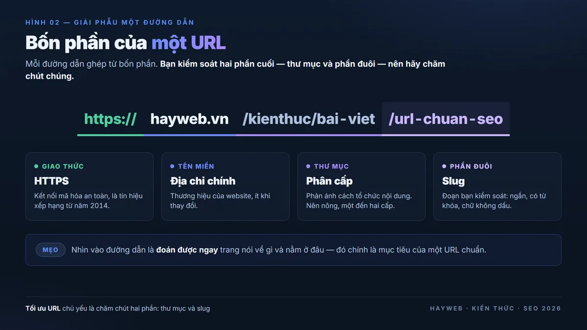 Bảng thông tin nền xanh đậm giải phẫu một URL chuẩn — tách thành bốn phần giao thức HTTPS, tên miền, thư mục và phần đuôi slug, kèm chú thích vai trò từng phần